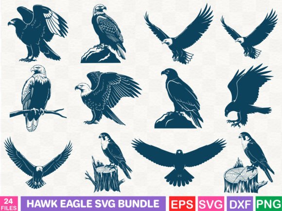 A Graphic Designer’s Review of the Hawk Eagle SVG Bundle