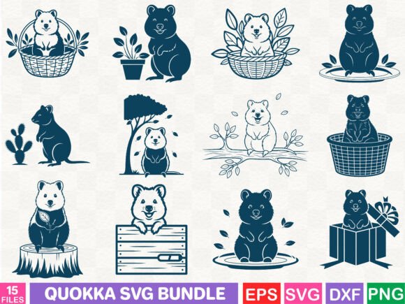 Reviewing Quokka Graphics for Editorial & Web Design